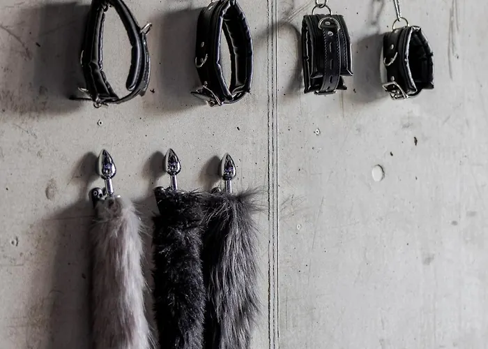 69 Fetish With Free Underground Parking * Kaunas